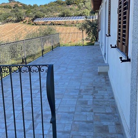 Agriturismo Vigna De' Luceri Loceri Ngoại thất bức ảnh