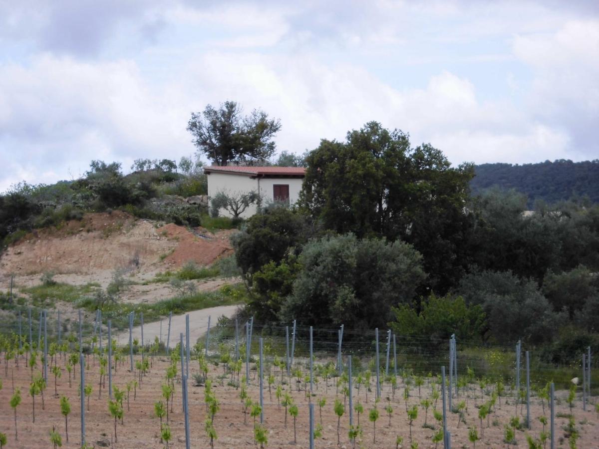 Agriturismo Vigna De' Luceri Loceri Ngoại thất bức ảnh